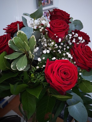 Blume21.jpg