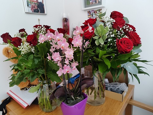 Blume23.jpg
