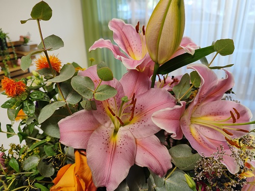Blume34.jpg
